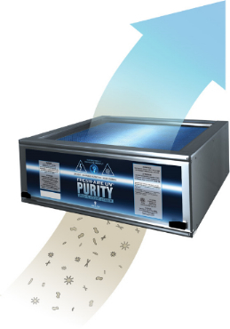 Purity air purification system - from dirty to clean!